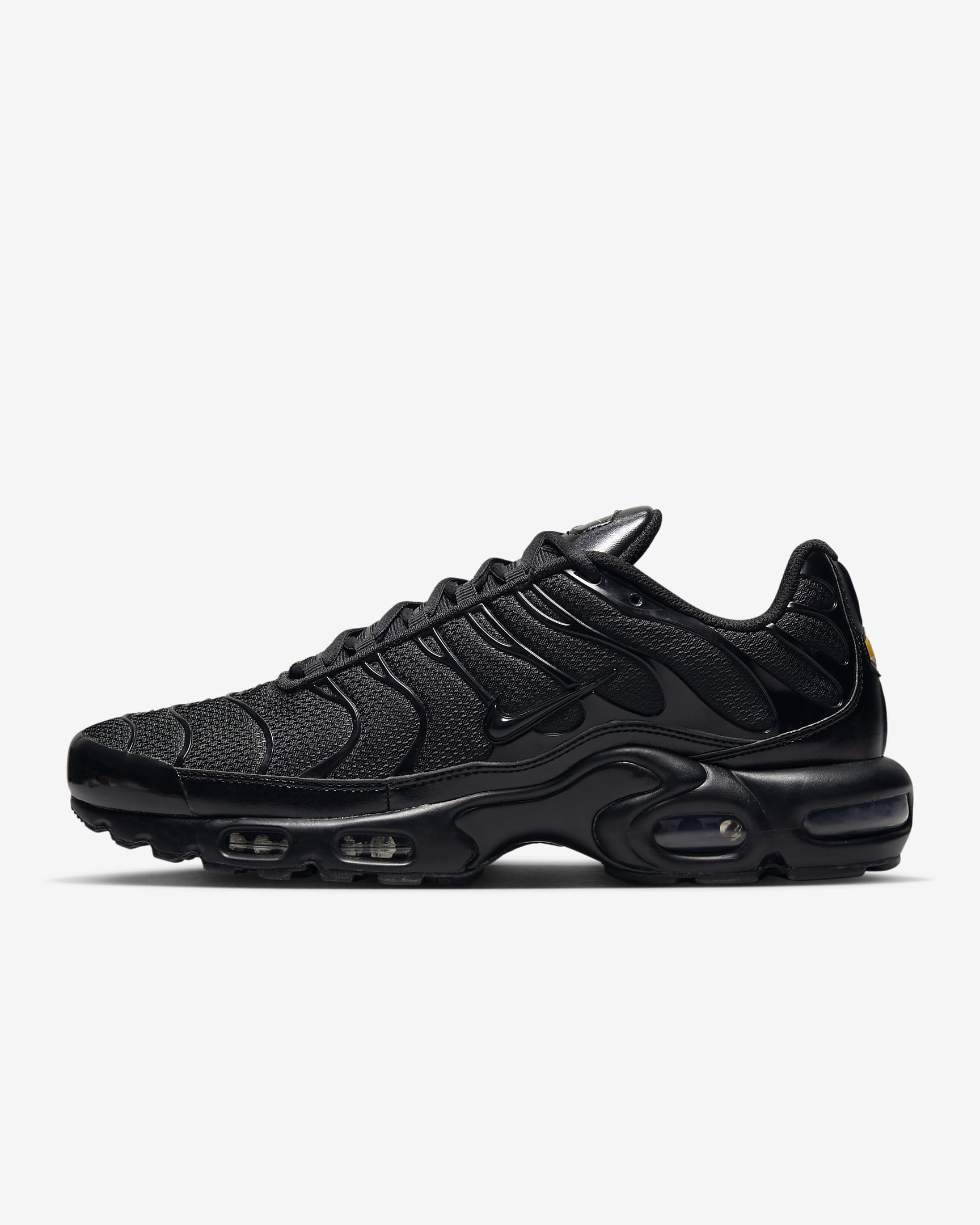 Nike Air Max Plus Black/Black/Black 604133-050