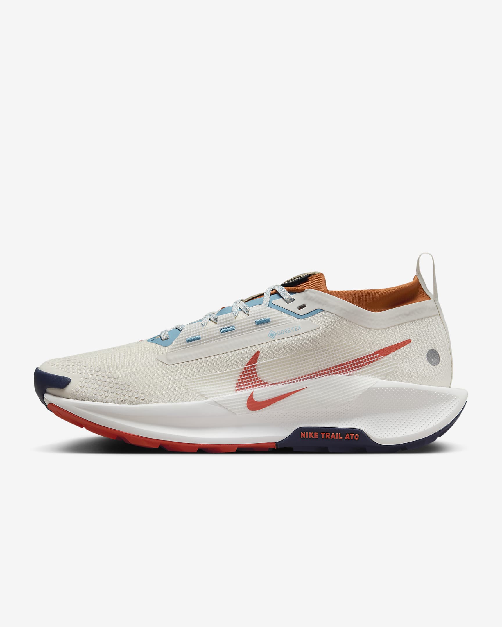 Nike Pegasus Trail 5 Gore-tex Phantom/Dark Russet/Denim Turquoise/Vintage Coral FQ0908-003