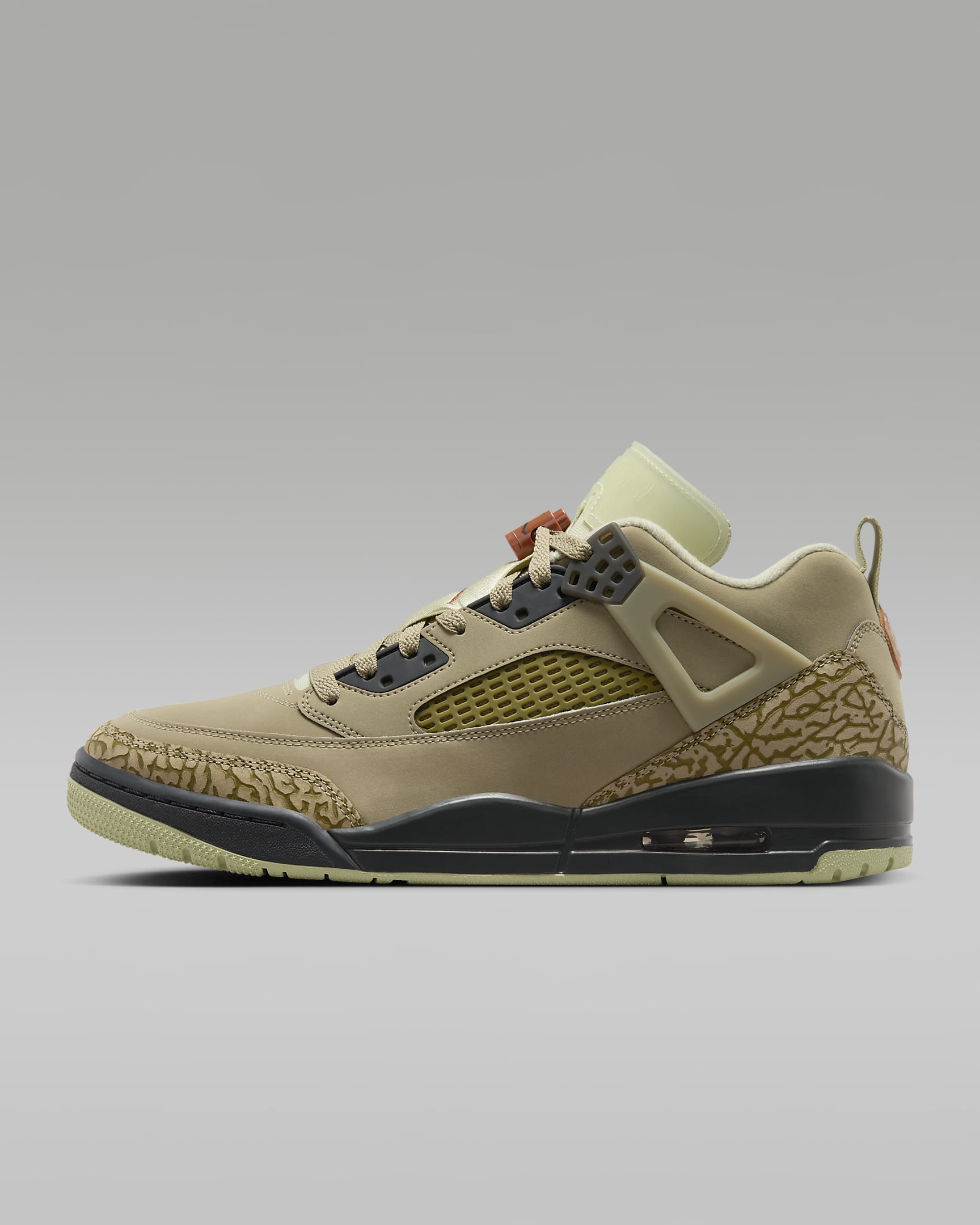 Jordan Spizike Low Neutral Olive/Olive Aura/Dark Smoke Grey/Dark Russet HM4732-200